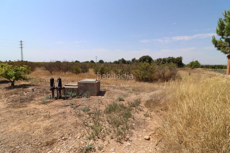 Foto a7f44659-a3fe-40b2-a2c9-a222150499bb. Finca rústica a Alcanar