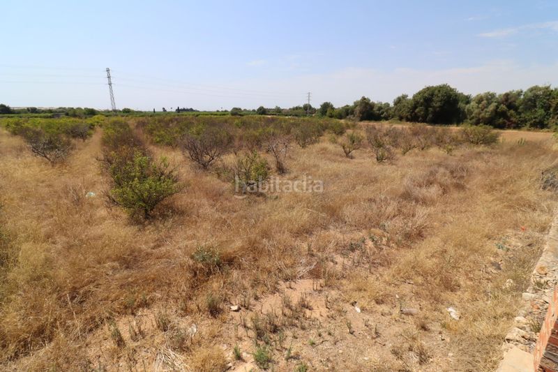 Foto ce16ffb2-3916-4860-8c8a-0181c258c454. Finca rústica a Alcanar