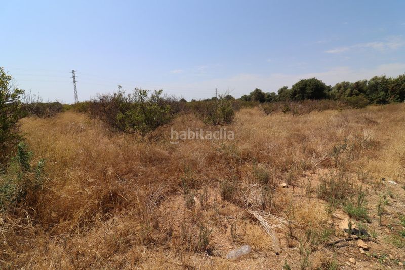 Foto e540ee8f-c1a3-4ad3-8f9d-6484e3b78635. Finca rústica a Alcanar