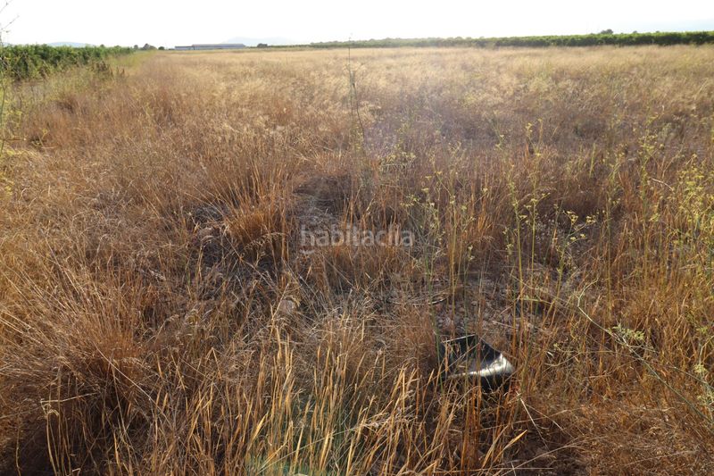 Foto 56934a16-05ef-41b1-87ae-d0d1875f7925. Finca rústica a Traiguera