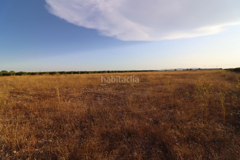 Foto cb54ffd1-bcc5-47d1-9520-8948e705aae7. Finca rústica a Traiguera