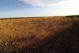 Fondo rustico in Traiguera. Finca rústica de regadio