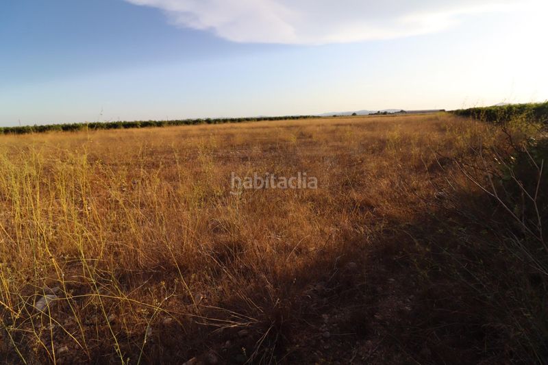 Foto d406cfb9-832f-4783-aa39-8a96ac2589fd. Finca rústica a Traiguera