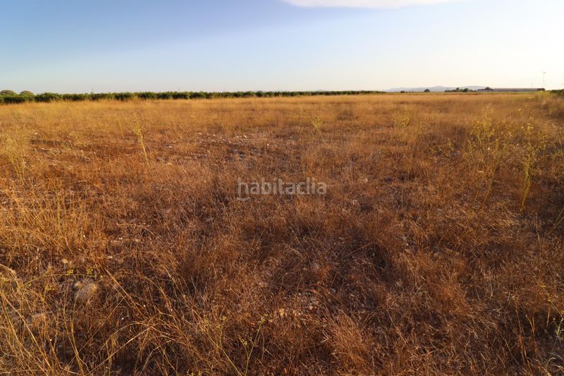 Foto d6f46a9a-6218-444f-adca-69c6526737e0. Finca rústica a Traiguera