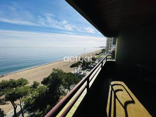 Piccolo appartamento  Calle paseo marítimo. Apartamento en primera línea de playa
