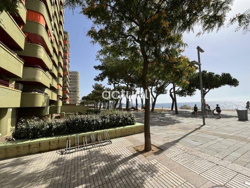 Foto 7fd9c05a-7b93-4eab-99b9-d92cdd122c22. Apartament amb calefacció aparcament a Centre-Platja Platja d´Aro