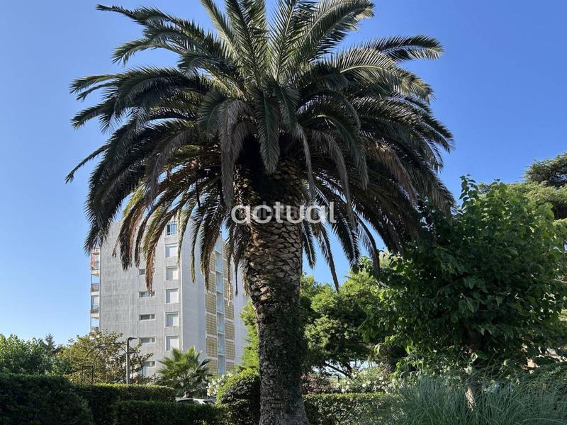 Foto 18bd6c35-fd39-4140-9975-365d377a962b. Apartamento venta de apartamento en castell daro, platja daro i sagaró en Platja d´Aro