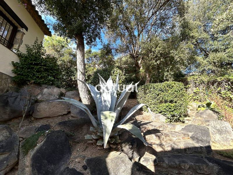 Foto 7969519c-b776-4d63-afe2-6d1b73b89a7d. Casa  con licencia turística en Cabanyes-Mas Ambrós-Mas Pallí Calonge