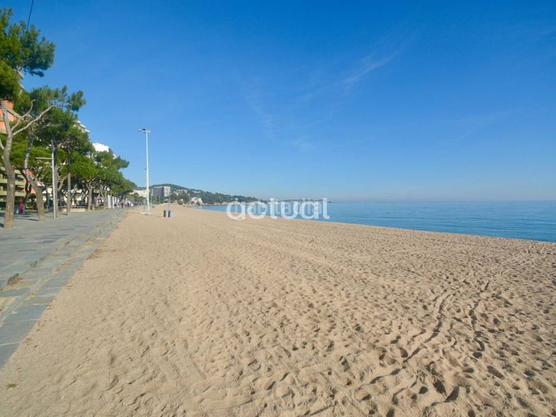 Foto 409df83e-7533-4c2f-afe2-921364f6f311. Apartament a Centre-Platja Platja d´Aro