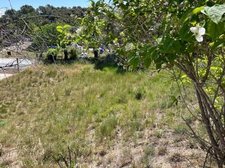 Residential Plot in Masquefa. Parcela en venta en can quisero.
