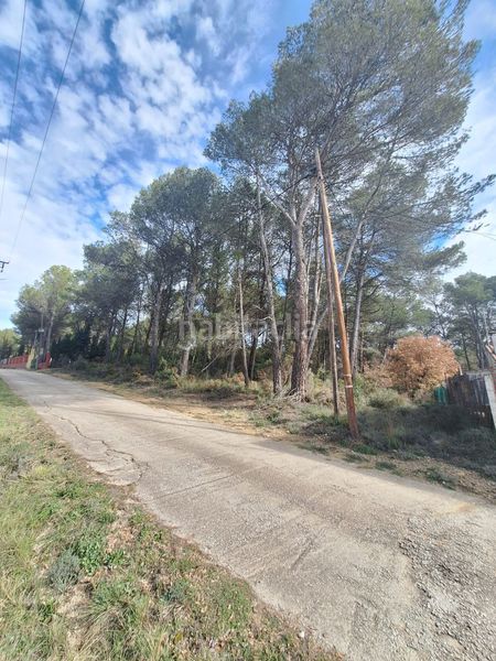 Foto bc3f7bfb-bd6b-4241-bcce-2f6b2c27338a. Terreny residencial a Querol