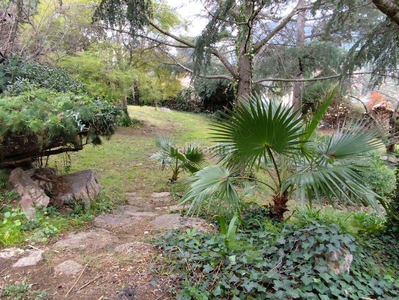 Foto 0ed4896b-275b-4d06-93b6-8b8d31b34f2c. Chalet  independiente en can güell en Torrelles de Llobregat