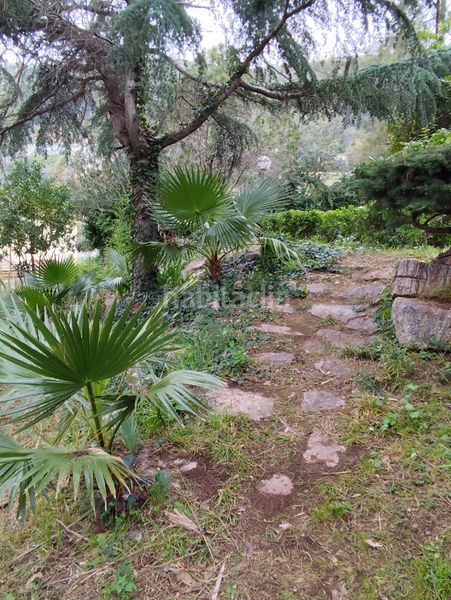 Foto c47829f1-15f9-4b6b-a3dc-ffe970114565. Chalet  independiente en can güell en Torrelles de Llobregat