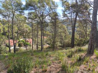 Residential Plot in Torrelles de Llobregat. Solar edificable en venta de 2.700m2