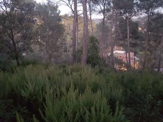 Terrain résidentiel à Torrelles de Llobregat. Solar edificable en venta de 2.700m2