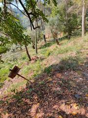 Terrain résidentiel à Torrelles de Llobregat