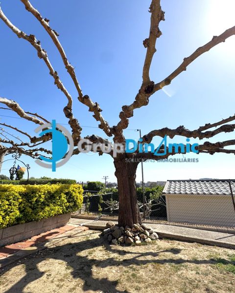 Foto b7e20f43-afb1-49d8-adf3-ca94c513c9df. Casa amb xemeneia piscina a Puig Ses Forques - Torre Colomina Sant Antoni de Calonge