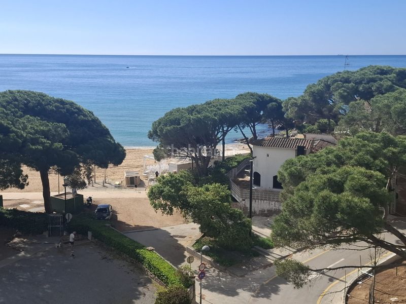 Foto dbfff12f-3af1-4e2d-82d9-35d1ce1470de. Estudi a La Fosca - Cala Margarida Palamós