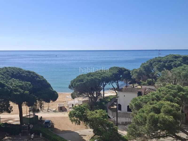 Foto e5fe7ddc-60ef-4ec3-98d0-0c449e428e49. Estudi a La Fosca - Cala Margarida Palamós