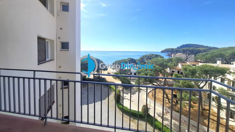 Foto 2a136ea0-39e5-4aff-b31f-3414963a1eed. Estudi a La Fosca - Cala Margarida Palamós