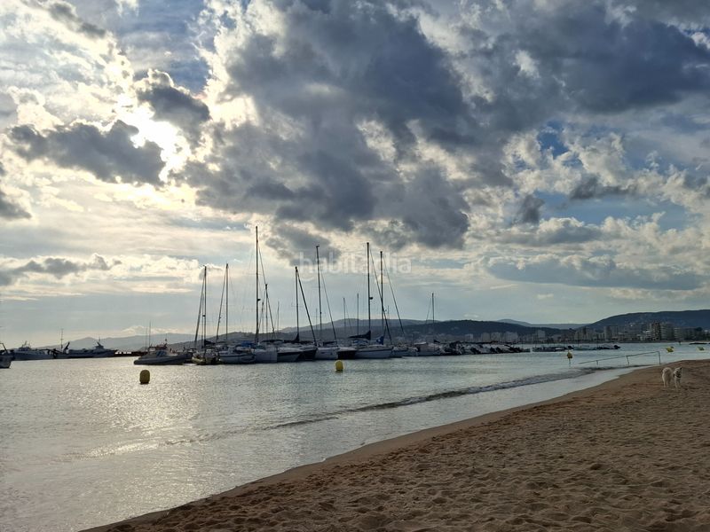 Foto c5dbe439-e7e6-42ce-9cc0-33fa3754a8ee. Àtic a El Pedró Palamós