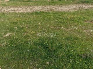 Terreny residencial a Tona. Solar en venta