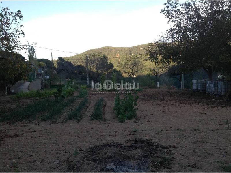 Foto 1295d4c4-9c2c-4cd5-95e4-b4f56eb72d05. Solar industrial a Tona