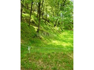 Terrain résidentiel à Balenyà. Solar en venta