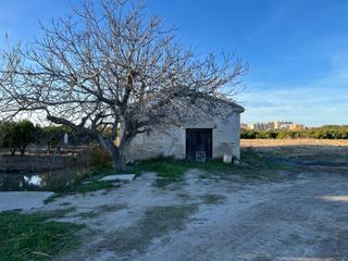 Terreno residencial en Partida benemis 3. Casita agricola entre piles y miramar de 26 metros con 3693 de p