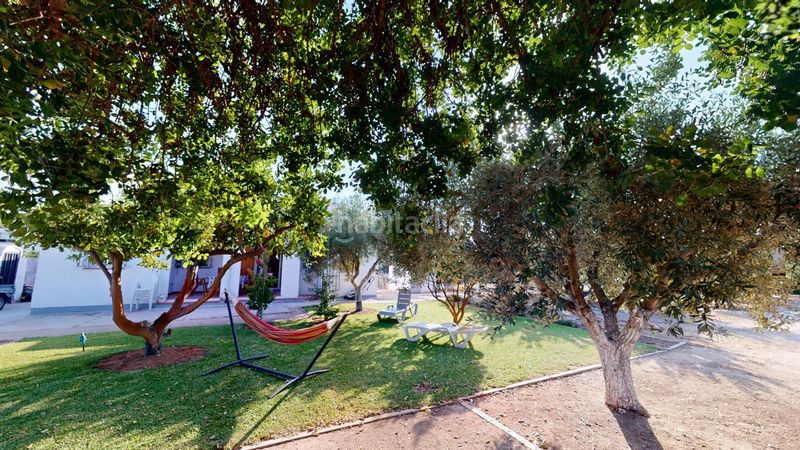 Foto f4dca310-d904-4a13-8107-71423511b68a. Xalet a polígono 9 9562 a Oliva playa Oliva