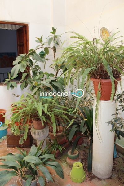 Foto 51770933-a657-412c-92a7-5f307a8a19f3. Apartamento en Oliva pueblo Oliva