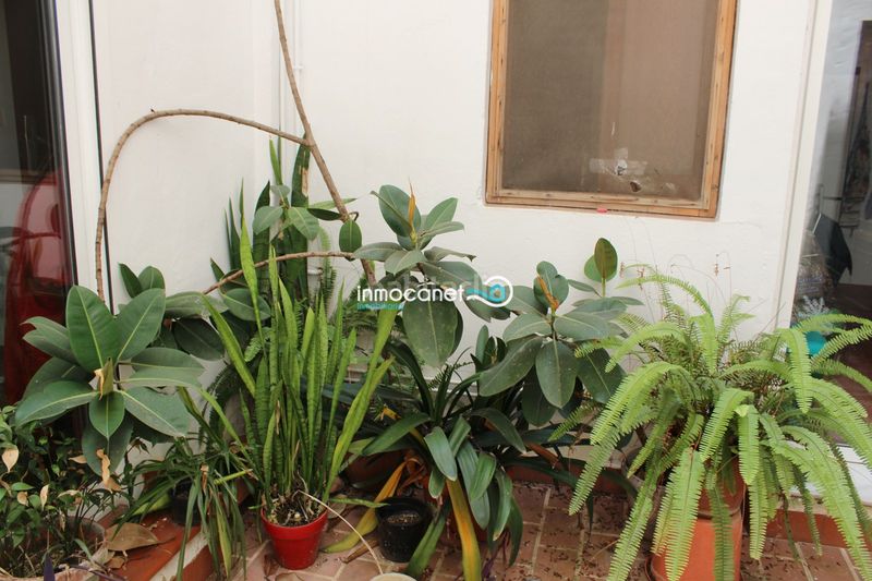 Foto 792498d4-4f4b-4915-827e-0359416a8510. Apartamento en Oliva pueblo Oliva