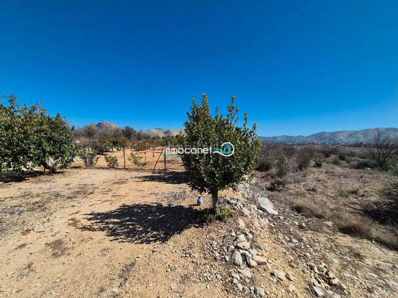 Foto b121e3c7-019a-436c-8f76-15f8ca8c0b73. Masía en Vall de Gallinera
