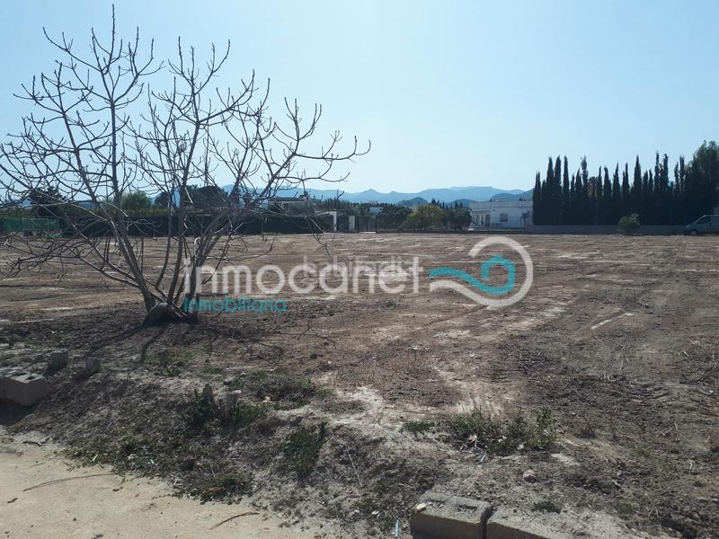 Foto 7c062d91-4e17-48ad-a2f8-f4634fc0d63b. Terreno residenziale in Oliva playa Oliva