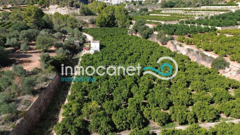 Foto 6b8ce2ac-f867-478f-93cc-67768e80ca63. Terreny residencial a Atzúbia (L´)
