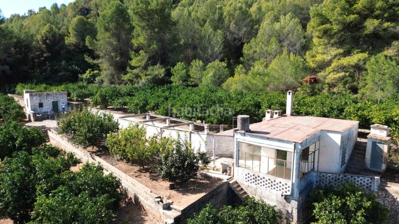 Foto 20c4c0ce-2791-4e7a-831a-19e68266d34b. Casale in Pego