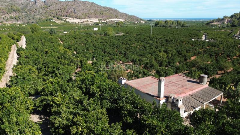 Foto 3a9c8c7d-9ab2-4559-ab1c-928ea722e4f1. Casale in Pego