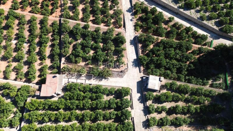 Foto 4dc8fa4e-2b9a-4a90-a79b-4cac12d12f9c. Casale in Pego