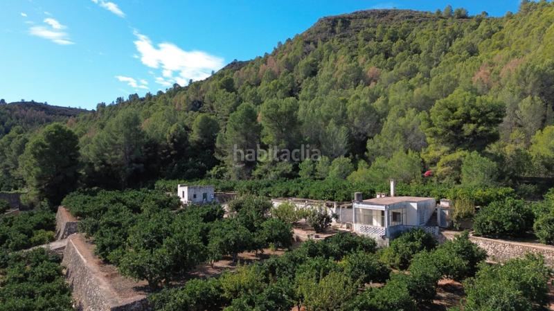 Foto 8622dd7b-8439-46b3-9672-54c956aada0a. Casale in Pego