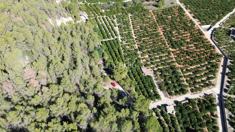 Foto b0d8d545-2f1b-4d38-b5b4-0ceadfc2341b. Casale in Pego