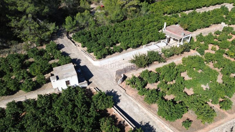 Foto d8f9839b-c55c-4bc9-9572-847f81866d1c. Casale in Pego