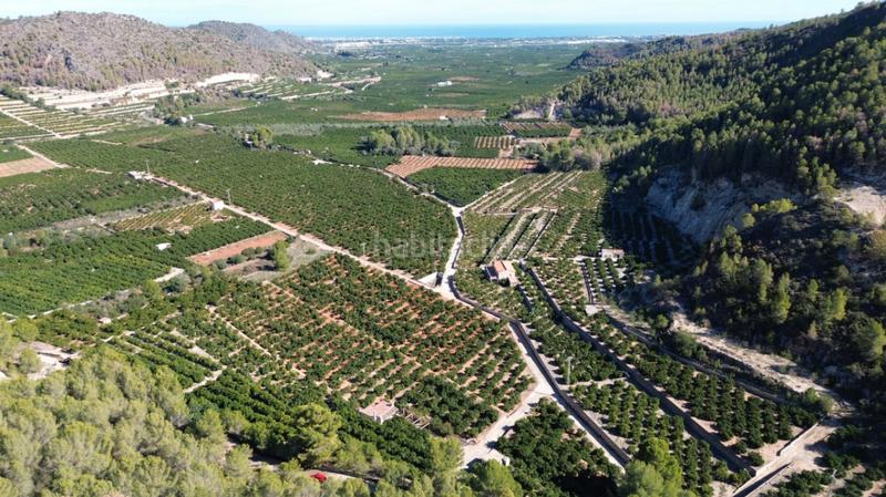 Foto fcef1569-c47e-437a-be6b-188f4cc85f7f. Casale in Pego