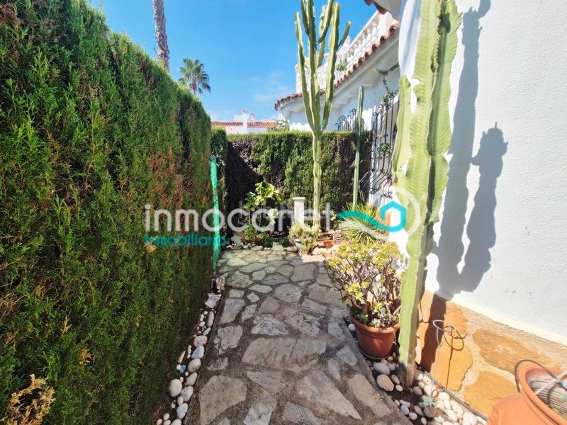 Foto b1682ddf-5995-49db-8e36-7c272879a6ce. Xalet amb piscina a Oliva nova Oliva