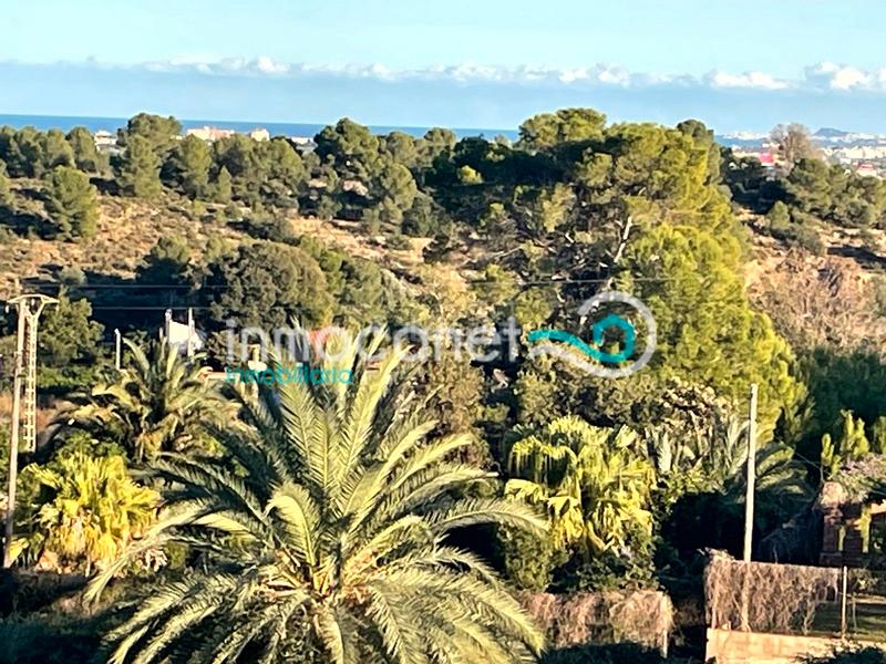 Foto f23a82f0-af25-49d2-b6cb-954f7f038956. Chalet con piscina in Oliva pueblo Oliva