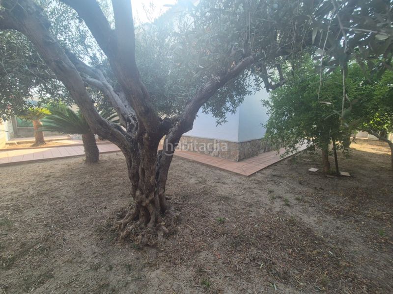 Foto 73499144-1956-4e6b-88e7-a5c6fa934a74. Xalet amb aparcament a Oliva pueblo Oliva