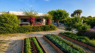 Chalet in Oliva Playa