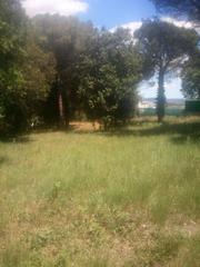 Terreny residencial  Carrer del bosc