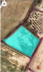 Fondo rustico in Bell-lloc d´Urgell. Finca en bell-lloc d'urgell