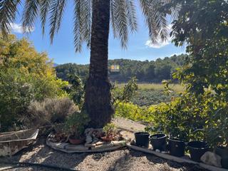 Masia a Callosa d´en Sarrià. Casa con terreno  callosa de ensarriá