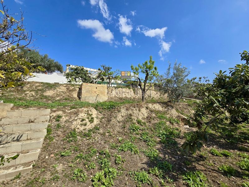 Foto 3a68cfd0-e81c-449a-9f67-b637e47fab5f. Casa amb aparcament piscina a Altea la vella Altea